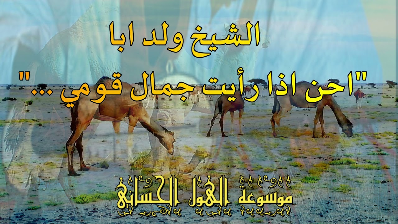الشيخ ولد ابا 