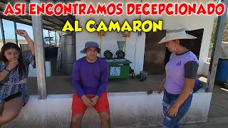 Camarón y los bichos iban con todo a trabajar pero miren lo que les paso.  Parte 24