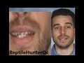Reptilien Dr Mark Hansen Reptilian