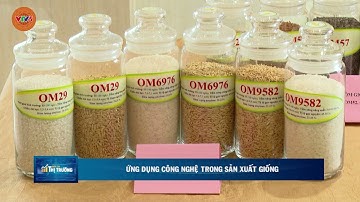 ỨNG DỤNG CÔNG NGHỆ TRONG SẢN XUẤT GIỐNG | VTV5