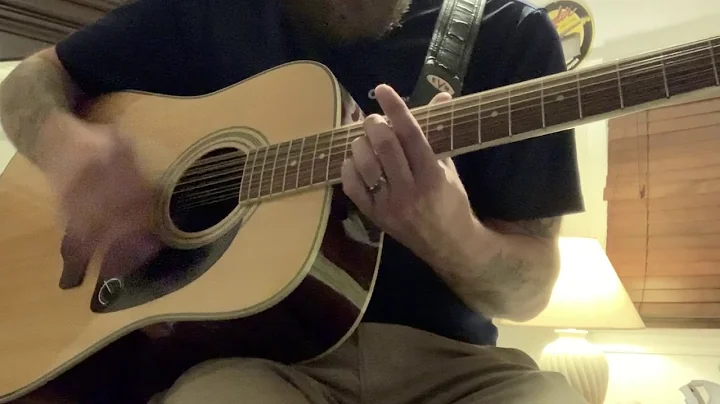 12 String Fury - Joshua Coble