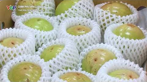 Hướng đến mục tiêu xuất khẩu nông sản bền vững