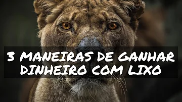 É possível ganhar dinheiro com reciclagem de lixo?