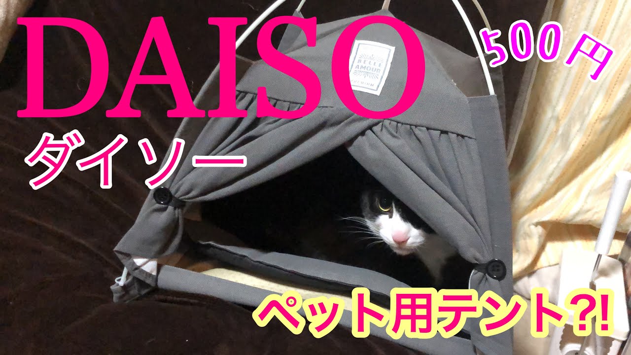 ダイソー Daisoペット用品購入 Youtube ダイソー Daisoペット用品購入 Youtube