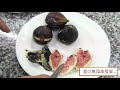 黒イチジク、栽培から食べ方まで。figue noir