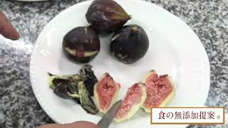黒イチジク、栽培から食べ方まで。figue noir