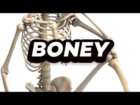 BONEY - BONEY