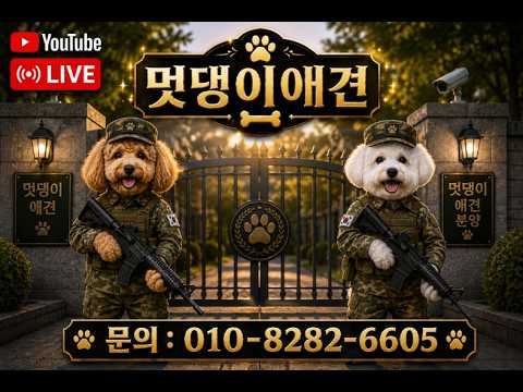 [🛑신입:프렌치불독.꼬푸.폼스키5세대.블랙시츄.오시두들.꼬숑.베들링턴테리어🛑]🔥전견종할인이벤트🔥강아지분양 라이브🔥❤️외모대비 최소분양가❤️전국어디든분양가능❤️라이브 실시간