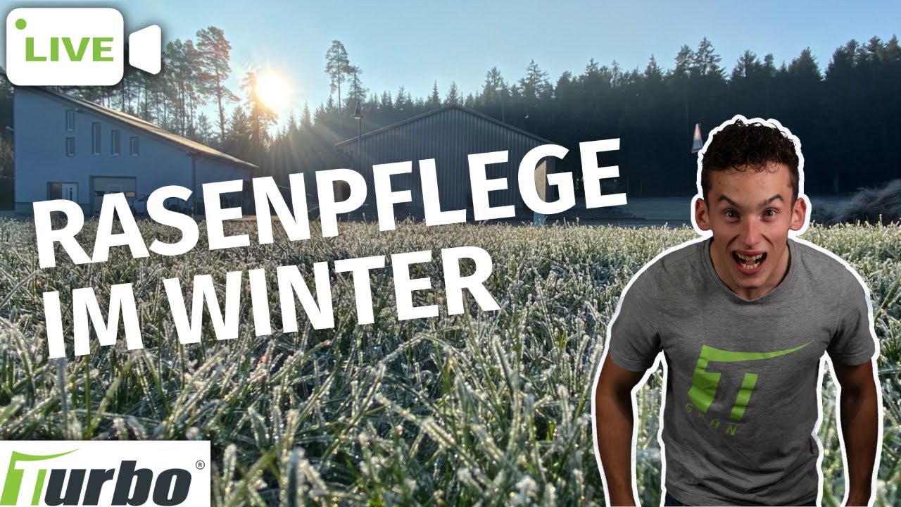 Rasenpflege im Winter mit einem Rasenexperte Turbogrün 🔴 YouTube