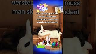 schönen Sonntag 🌃🐇 #grußkarten #gutenacht #sprüche #easter #ostern #osterhase #osterei #goodnight