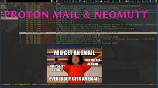 Neomutt with Protonmail on Arch Linux - LARBS - Thinkpad x220