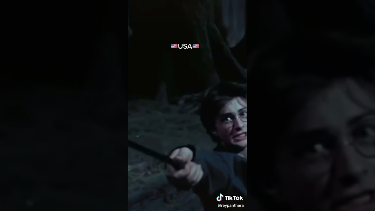 6 doblajes desechados de esta escena de Harry Porter