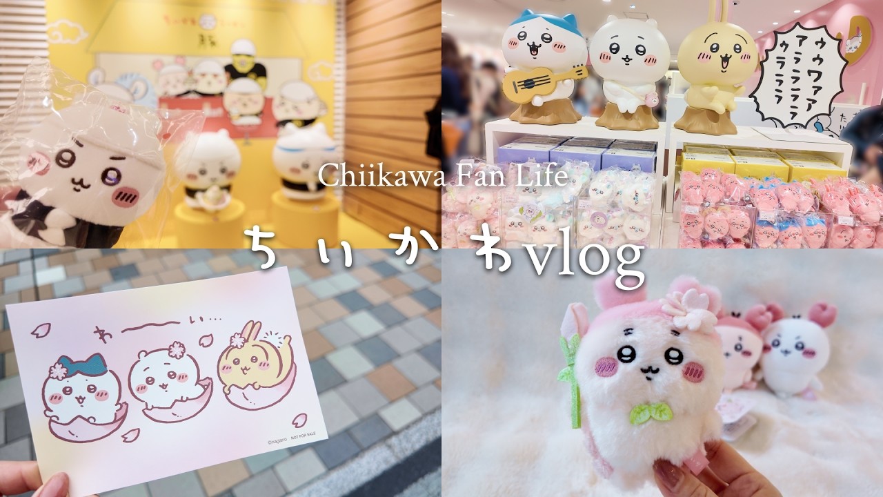 Chiikawa Vlog] Long-awaited Mascot! Cherry Blossom Fairy🌸Chiikawa