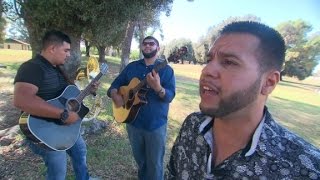 Musician writes song about 'El Chapo's' es...