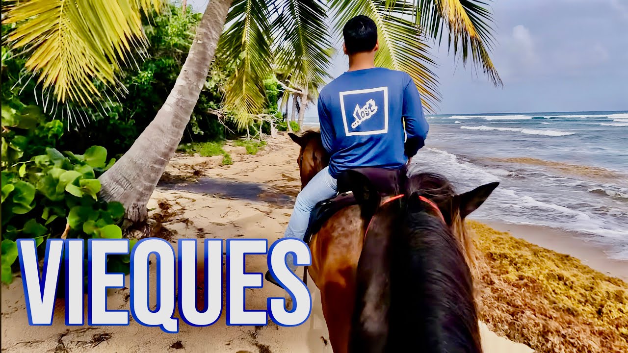 HORSEBACK RIDING ON THE  BEACH IN VIEQUES, PUERTO RICO. 10 MINUTE FLIGHT TO GET THERE!