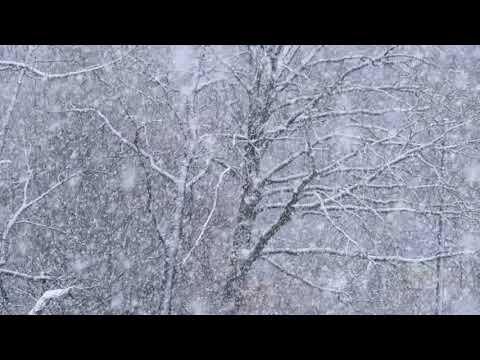 YouTube에서 Snowfall 보기 YouTube에서 Snowfall 보기