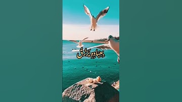 الله لطيف بعباده 🥀القارئ عبد الباسط عبد الصمد 🥀حالات واتس اب قرآن