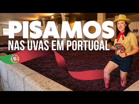 Making Wine in Portugal Like We Used To: 2026 Grape Harvest