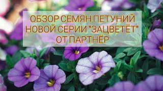 #Обзор #петуний из семян от агрофирмы #партнёр. Новая серия семян "зацветет" от Патриной Марины.