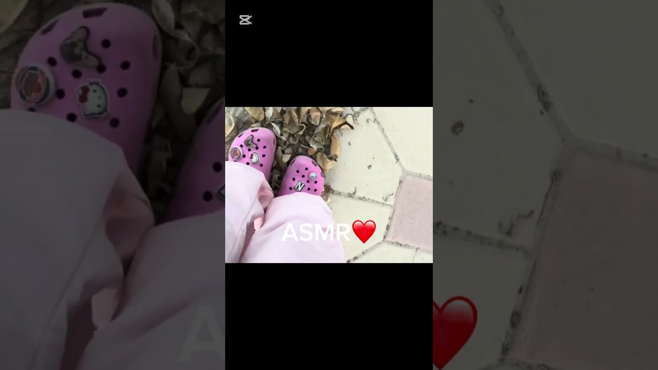 ASMR Сушеные листья