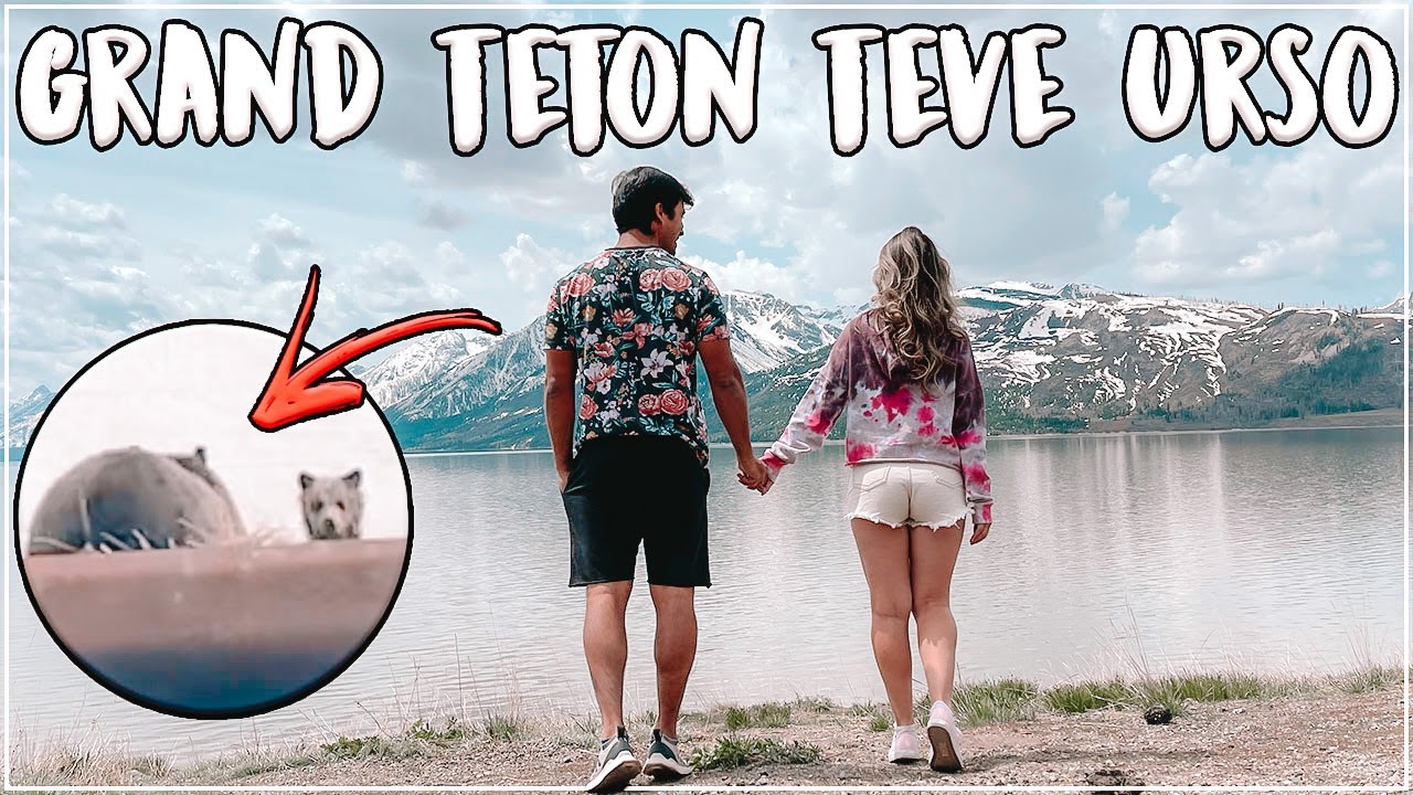 ENCONTRAMOS UM URSO NA VIAGEM DE MOTORHOME NOS EUA [GRAND TETON] - Dias 89 e 90