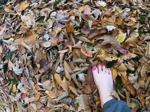 Barefoot Hiking | Waterfall | Fall Colors | Pisgah National Forest