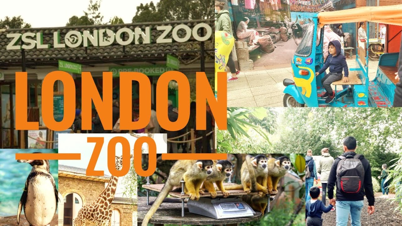 ZSL LONDON ZOO Videos In Malayalam/ UK Videos/ Tinzlife videos