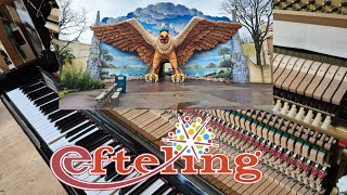 Vogel Rok uit de Efteling op een zelfspelende Yamaha Disklavier piano