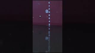 draft reading practice at calm sea level 2 #deckofficer #draught #shipping #stability #good Net Worth