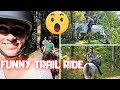 Funny trail ride! 🤣 Reintje, Hester, Richtsje and Waloubet the jumping horse | Friesian Horses