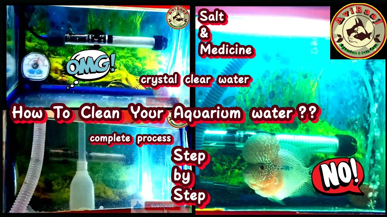 How To Clean Aquarium Water Crystal Clear | How to clean water stains from aquarium glass FlowerHorN