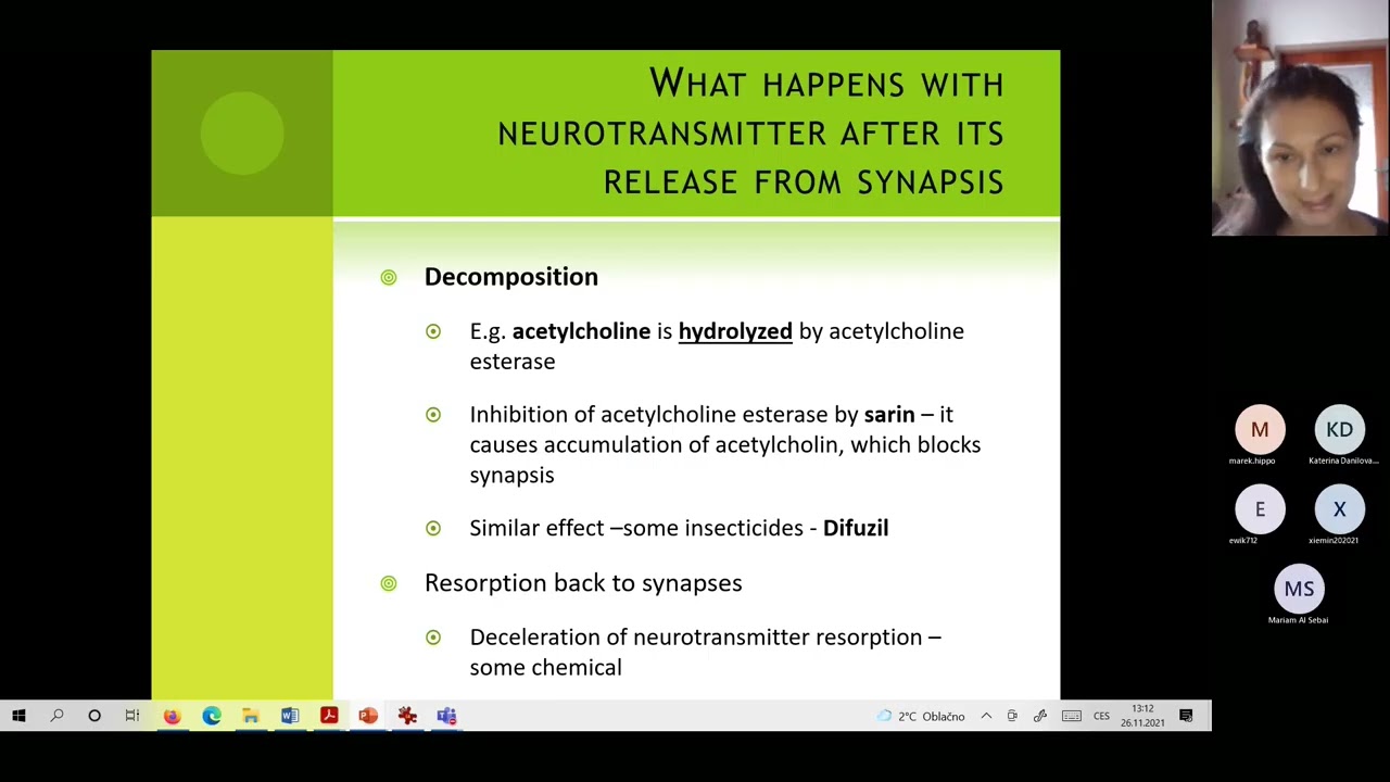 Resting membrane potential and calculations