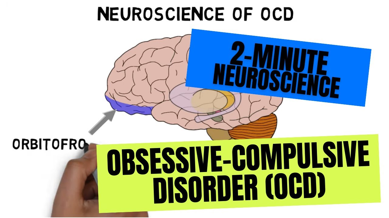 2 Minute Neuroscience Obsessive Compulsive Disorder OCD