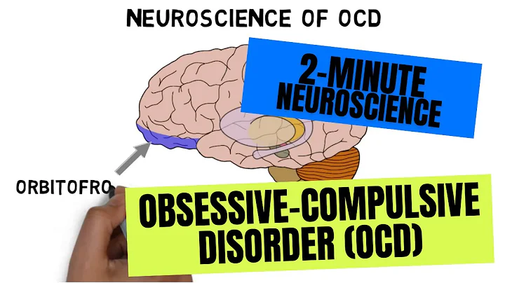 2-Minute Neuroscience: Obsessive-Compulsive Disorder (OCD) - DayDayNews