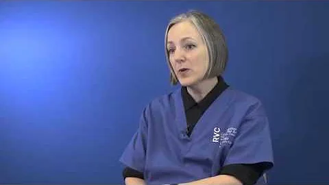 Common heart disease in cats (2/4) - Familial Idiopathic Cadiomyopathy