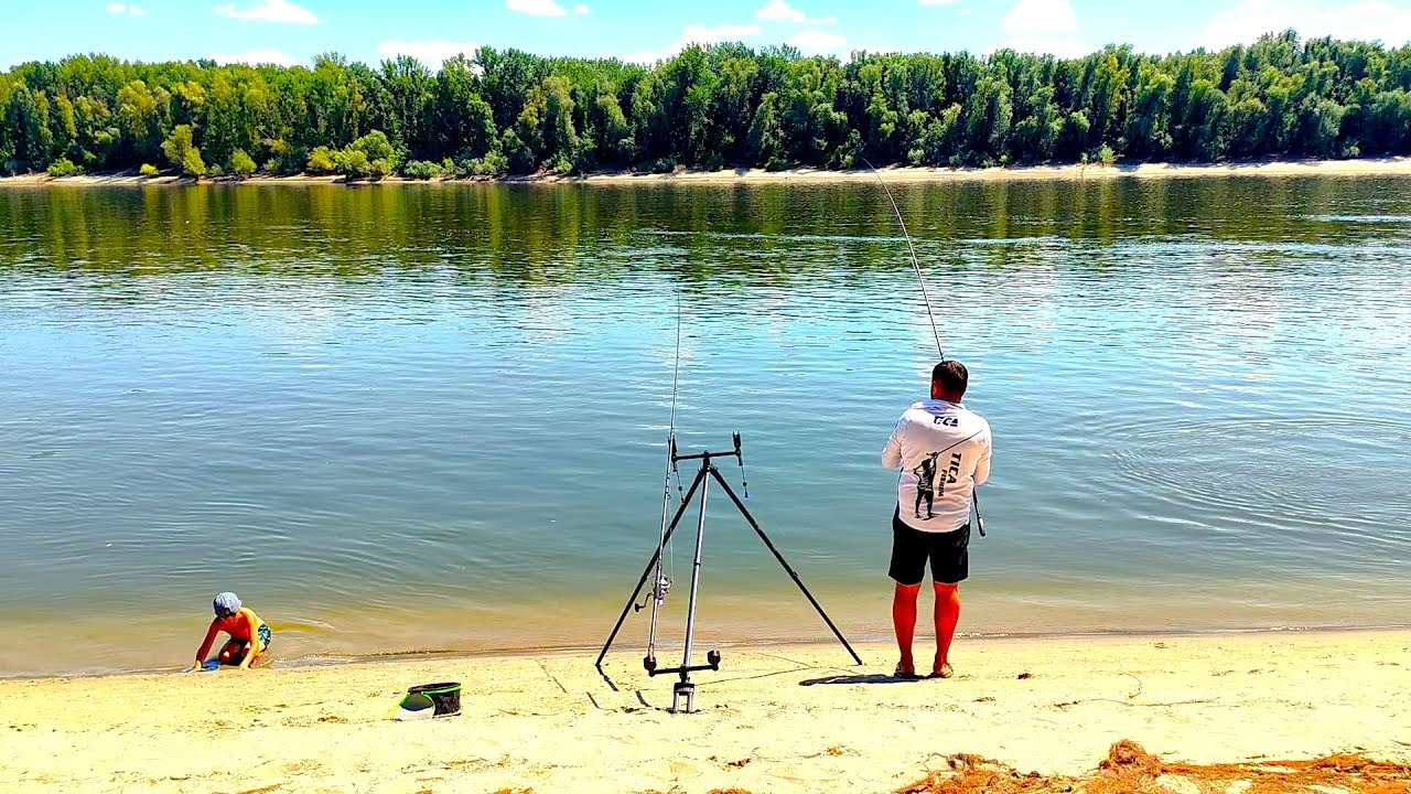 Pescuit la Feeder pe Dunăre cu Nada Perfectă – Rezultate Reale! #pescuitDunare #feeder