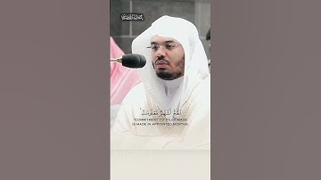 سورة البقرة | أ.د. #ياسر_الدوسري |  (197-196)