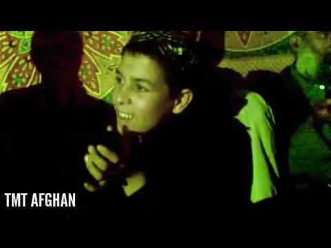 دمبوره شیرکش قرباغ همرای نوید جان 