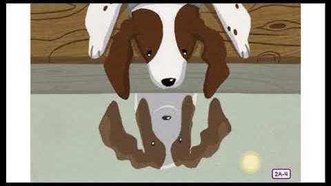 Lesson 4 - Reflection and Mirrors