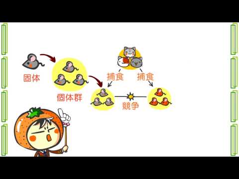 生物５章１話「生態系と反応」ｂｙWEB玉塾