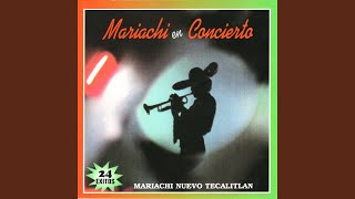 Miniatura de vídeo de "Mariachi Nuevo Tecalitlán - Mil Violines"