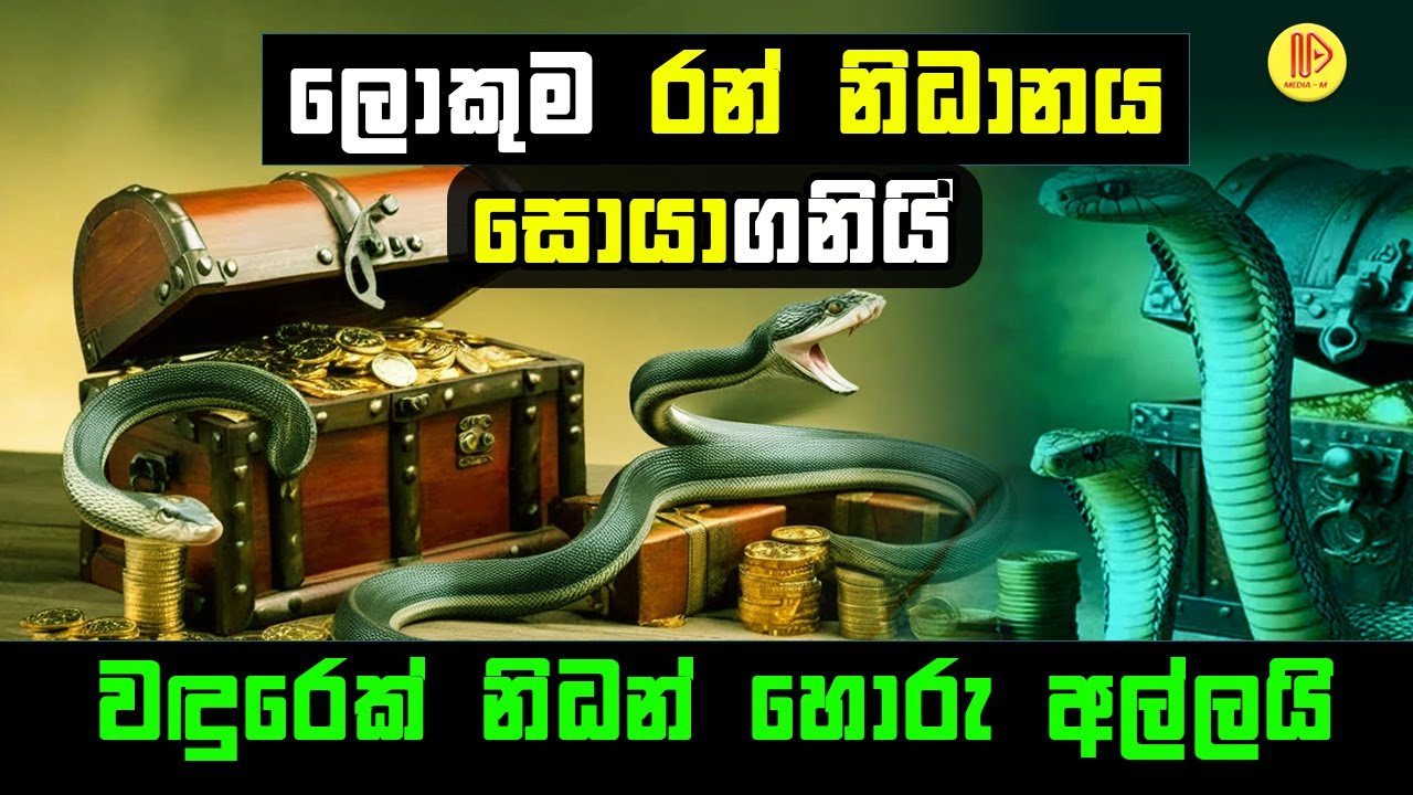 ලොකුම රන් නිධානය සොයාගැනේ. වඳුරෙක් නිධන් හොරු අල්ලාදෙයි | the treasure