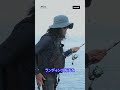 ギャフを使ったアオリイカの取り込み方 #エギング #川上英佑 #yamashita