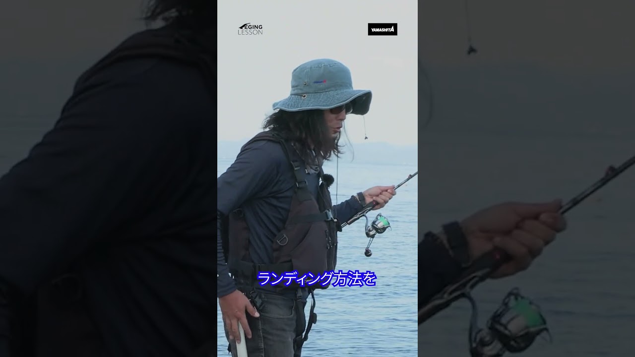 ギャフを使ったアオリイカの取り込み方 #エギング #川上英佑 #yamashita