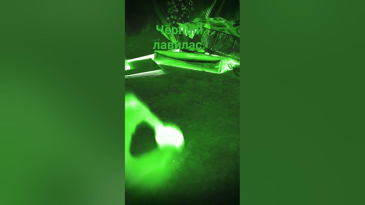 Чёрный лавилас.⚫ - YouTube