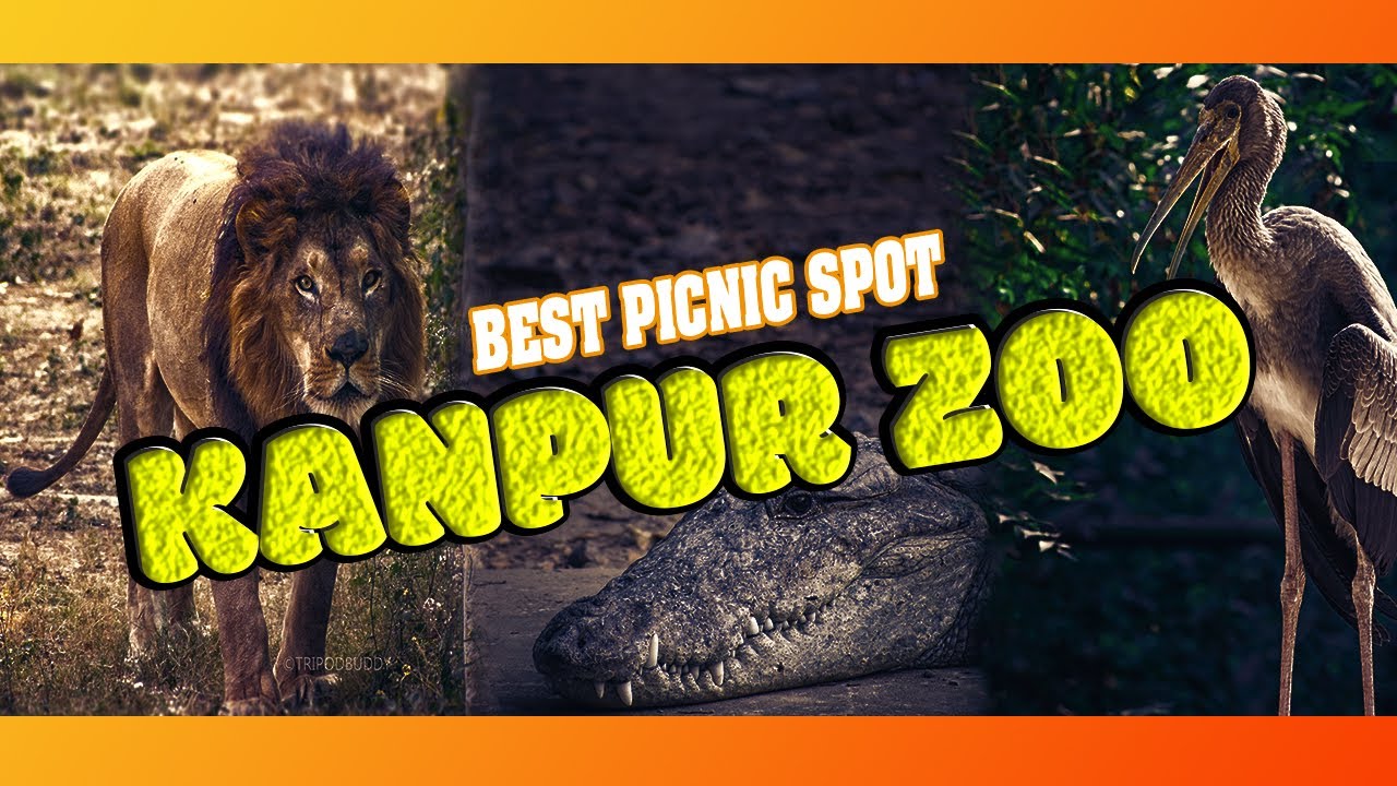 KANPUR ZOO (TOY TRAIN)... YouTube