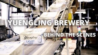 Yuengling Brewery | Behind the scenes