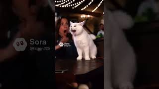 #memes #sora2 #humor #cat