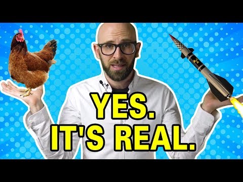 The Chicken Heated Nuclear Land Mine (Oh yes, totally a real thing) thumbnail