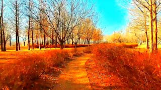 Tristesse - Hauser(슬픔 - 하우저)
